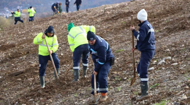 Kocaeli’de binlerce ağaç dikilecek