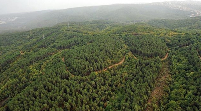 İMO Kocaeli’den geleceğe yeşil bir miras: 70. Yıl Hatıra Ormanı