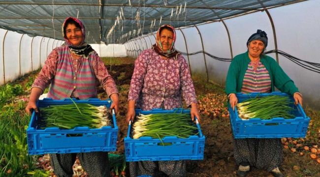 Kocaeli Büyükşehir Belediyesi’nden tarıma tam destek; 1 yılda 235 milyonluk 11 proje hayata geçti