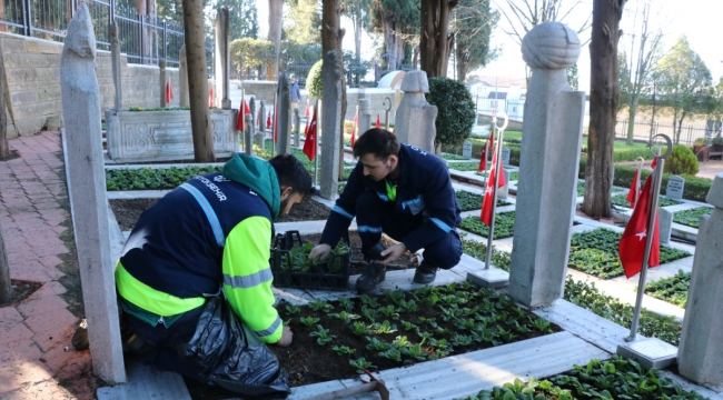 Şehit mezarları çiçeklerle donatıldı